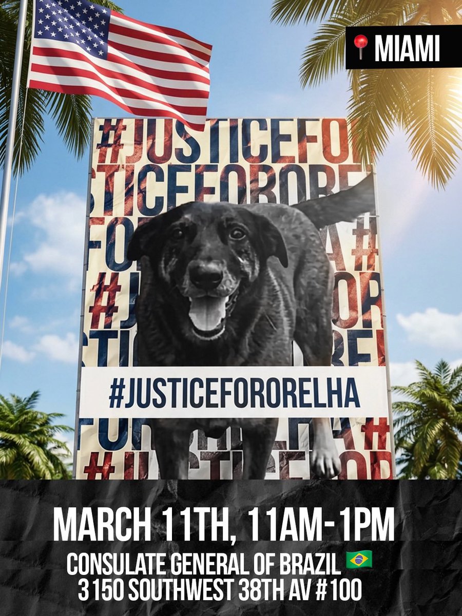 gabrielcharro_'s tweet photo. 🇧🇷🇺🇸📢MANIFESTAÇÃO EM MIAMI 🎯
#CPIdoorelhaja 
#JusticeForOrelha https://t.co/QpEqRcTh8S