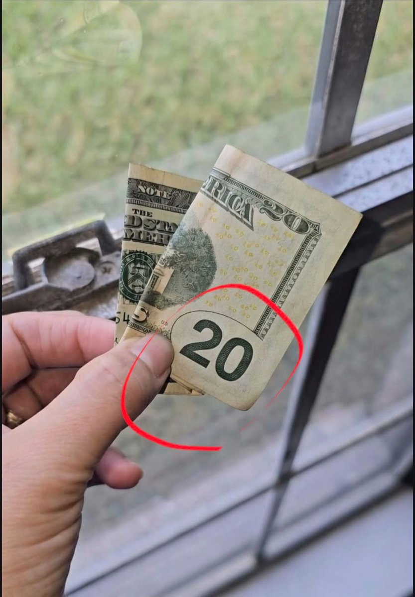 Mr PitBull tweet media