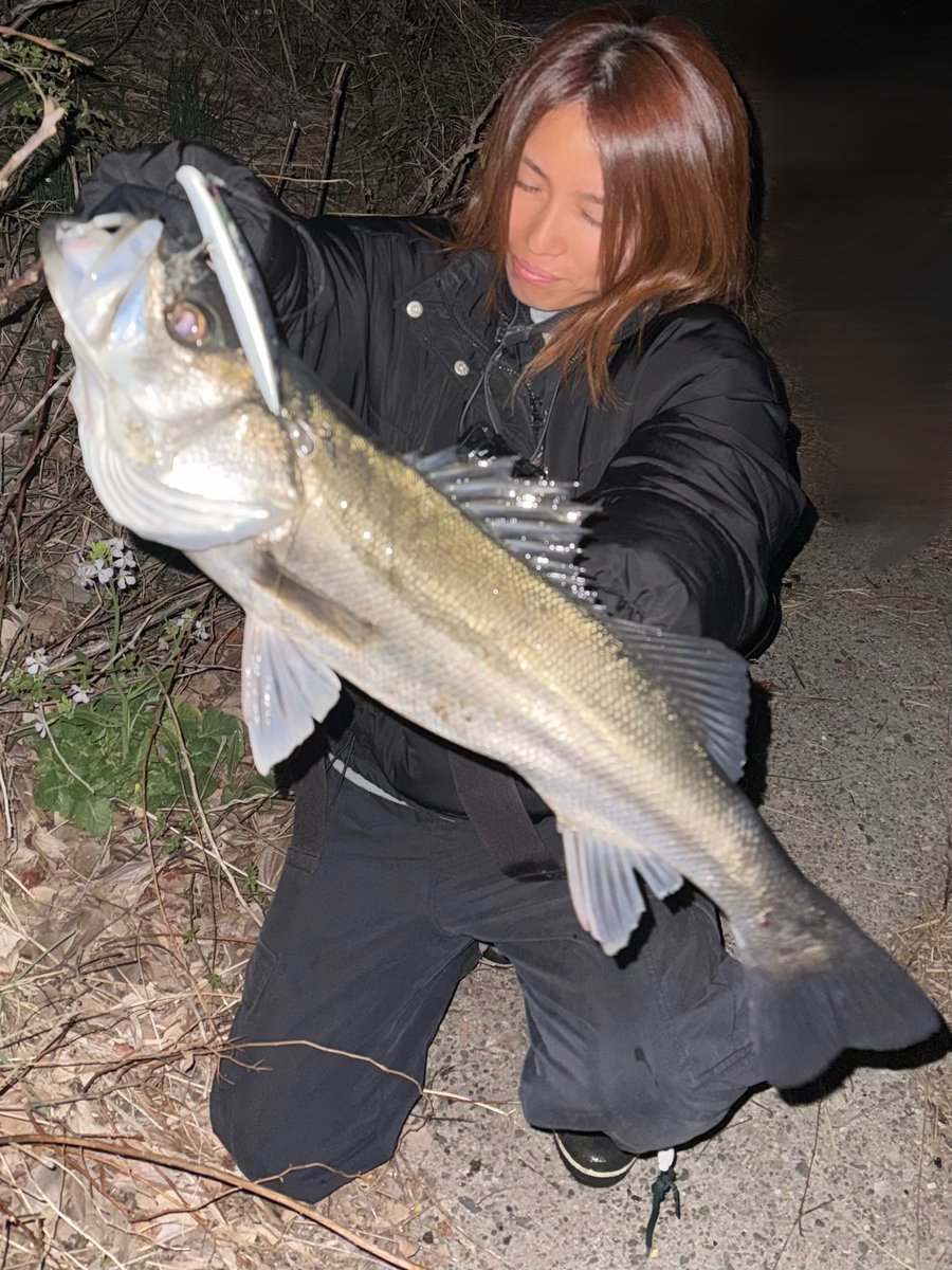 まいまい (@mai728xx) / Posts / X