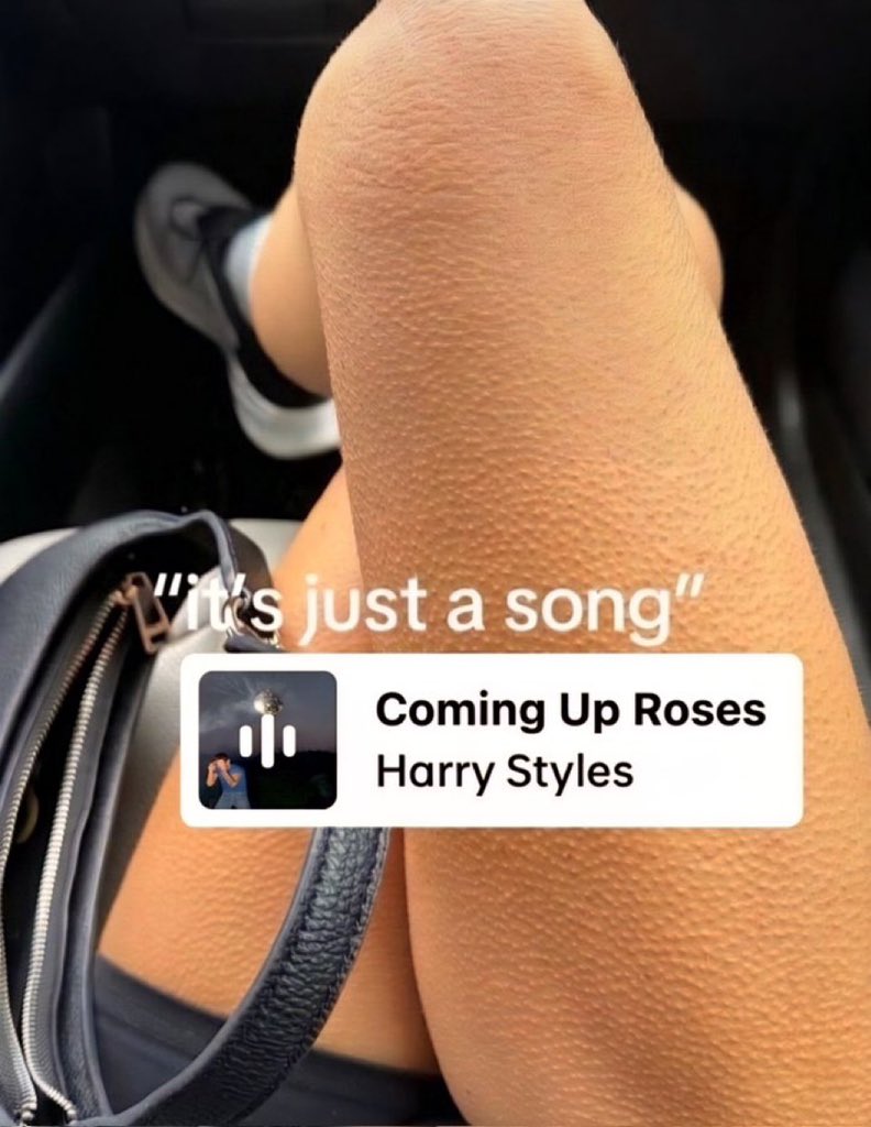 Mi canción