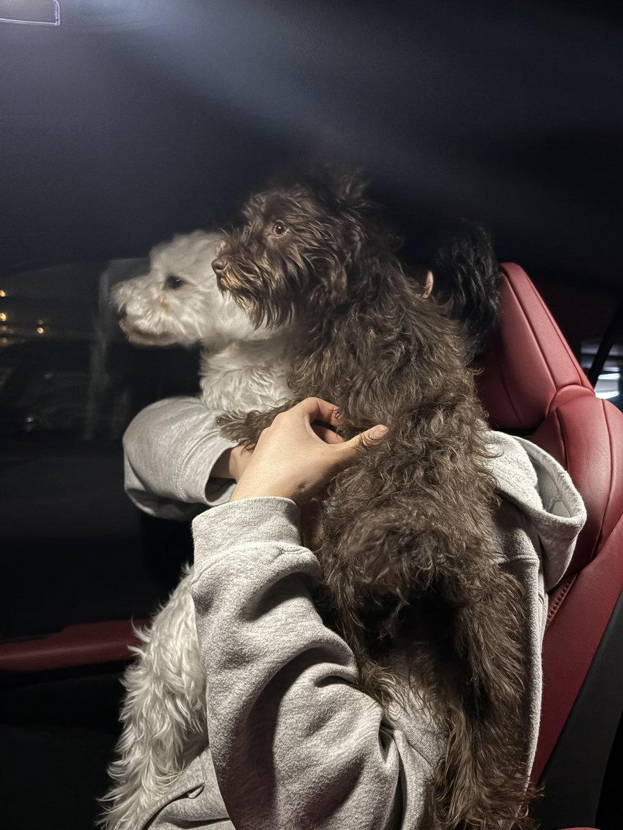 車停めると一斉にパパに飛び乗る娘たちww