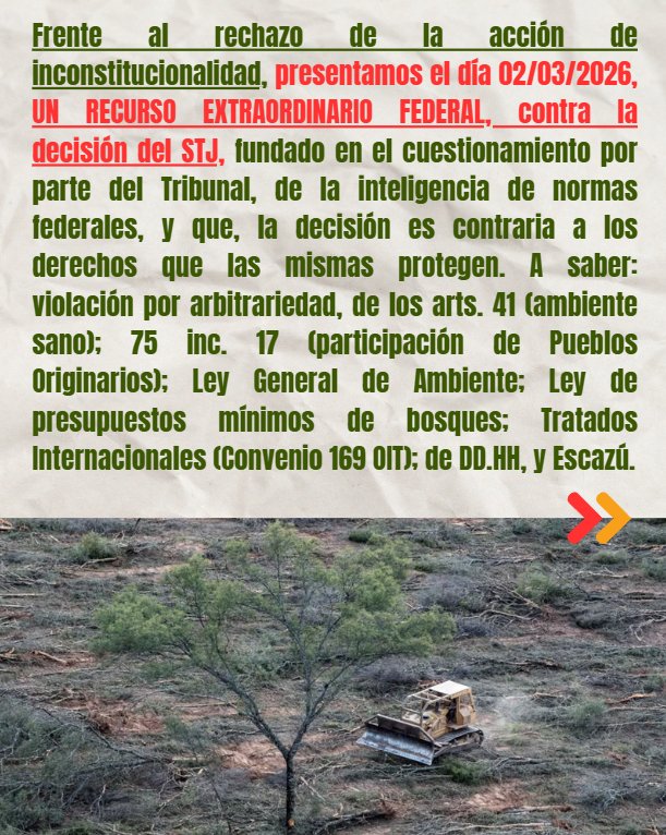 Conciencia Solidaria ONG tweet media