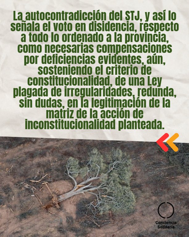 Conciencia Solidaria ONG tweet media