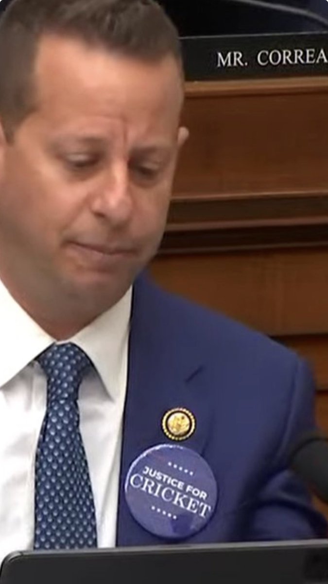 Ali Quinn tweet media