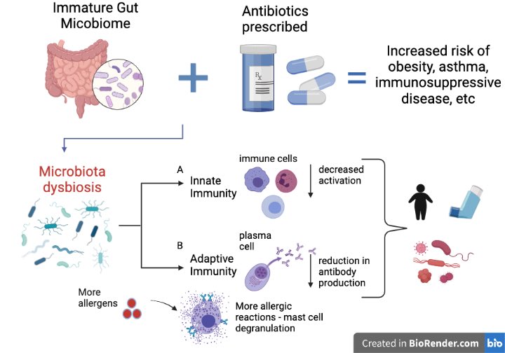 Minum Antibiotik Bisa Membuat Ekosistem Usus "Lumpuh" Selama Setahun!

Banyak orang mengira bahwa setelah menelan pil antibiotik terakhir dan gejala penyakit hilang, tubuh mereka langsung kembali normal, padahal kenyataannya kalian baru saja melakukan "pengeboman" pada ekosistem