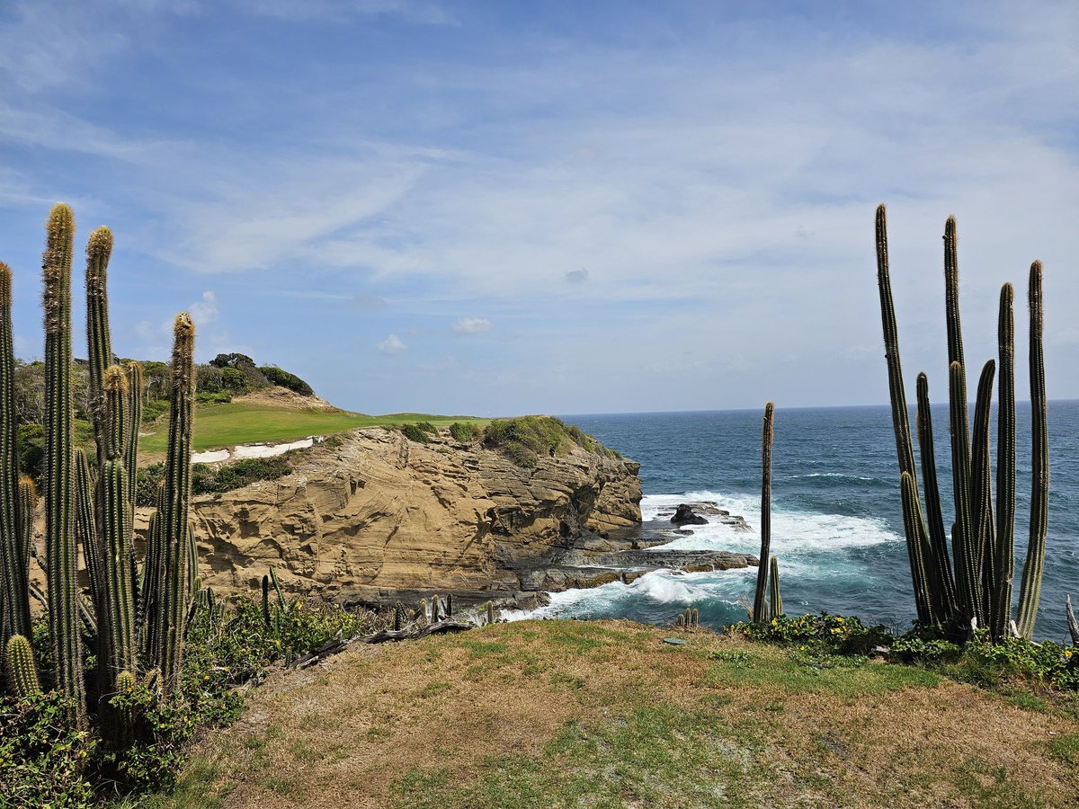 menworking tweet media