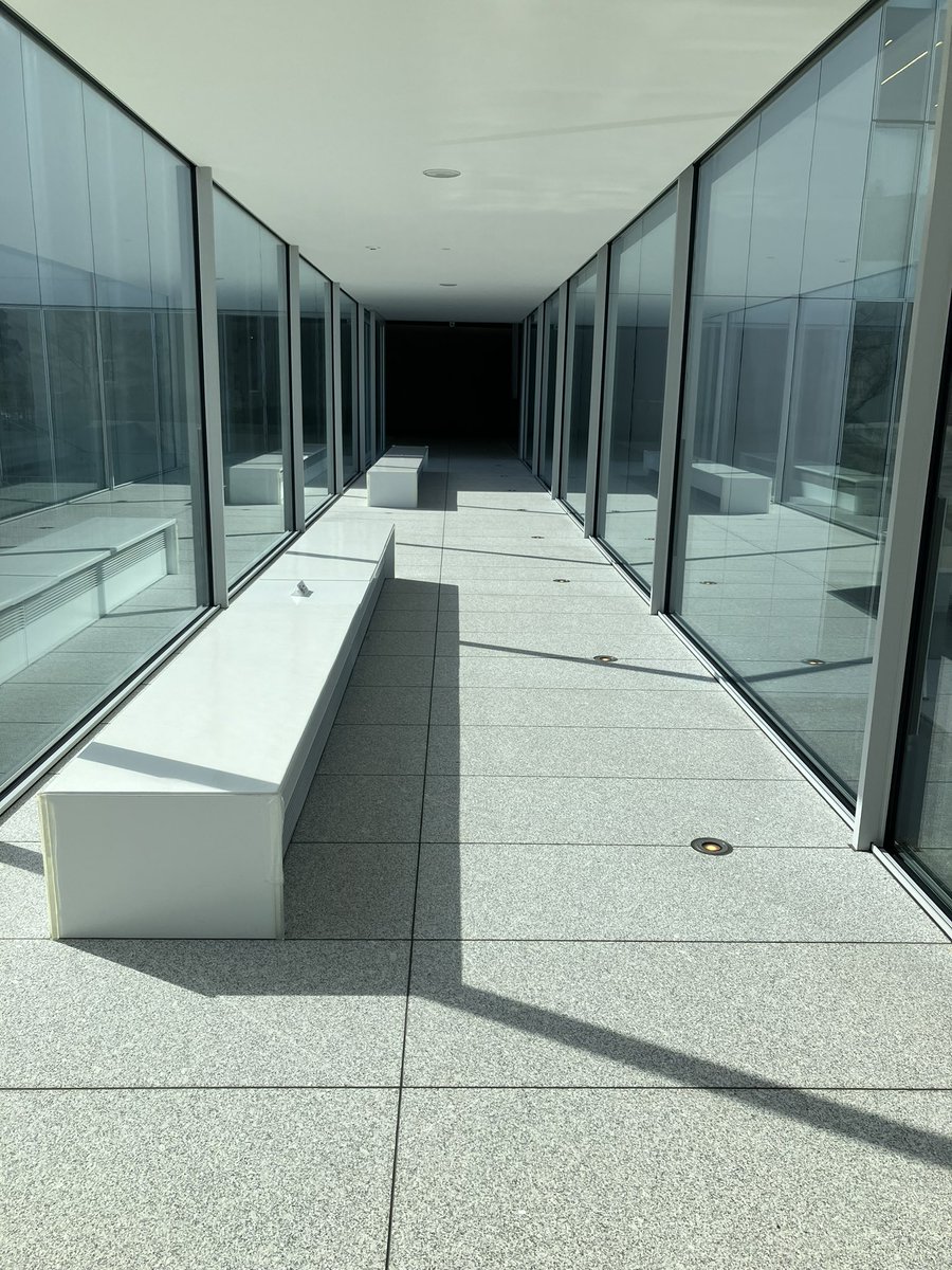 渡部 真理子 Mariko Watanabe tweet media