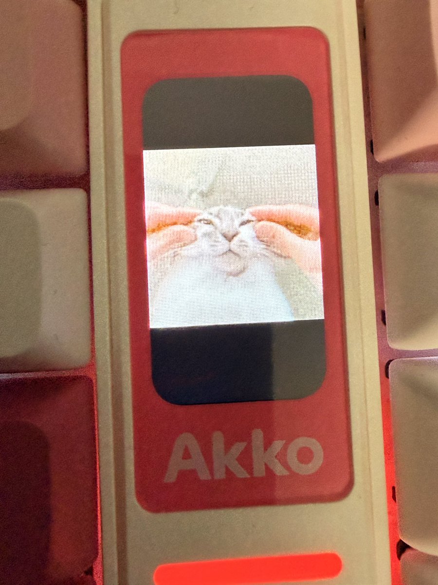 🅱️ophie tweet media