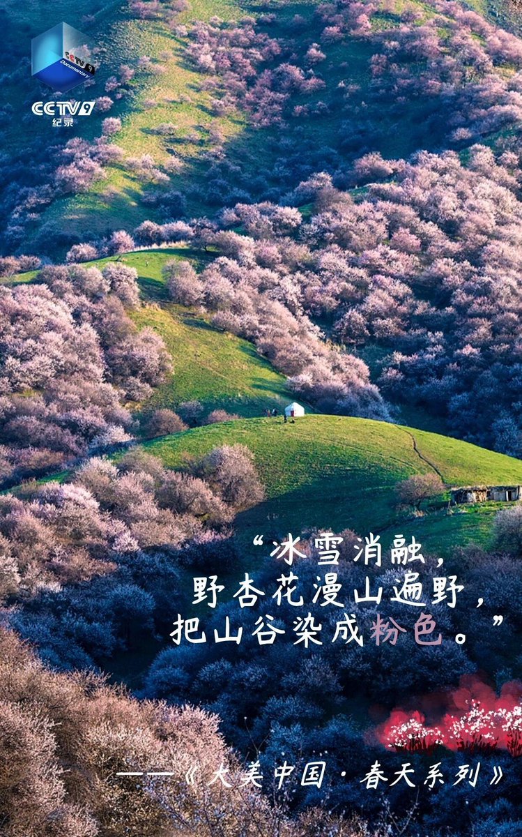 晓而为（互赞互fo100%） tweet media