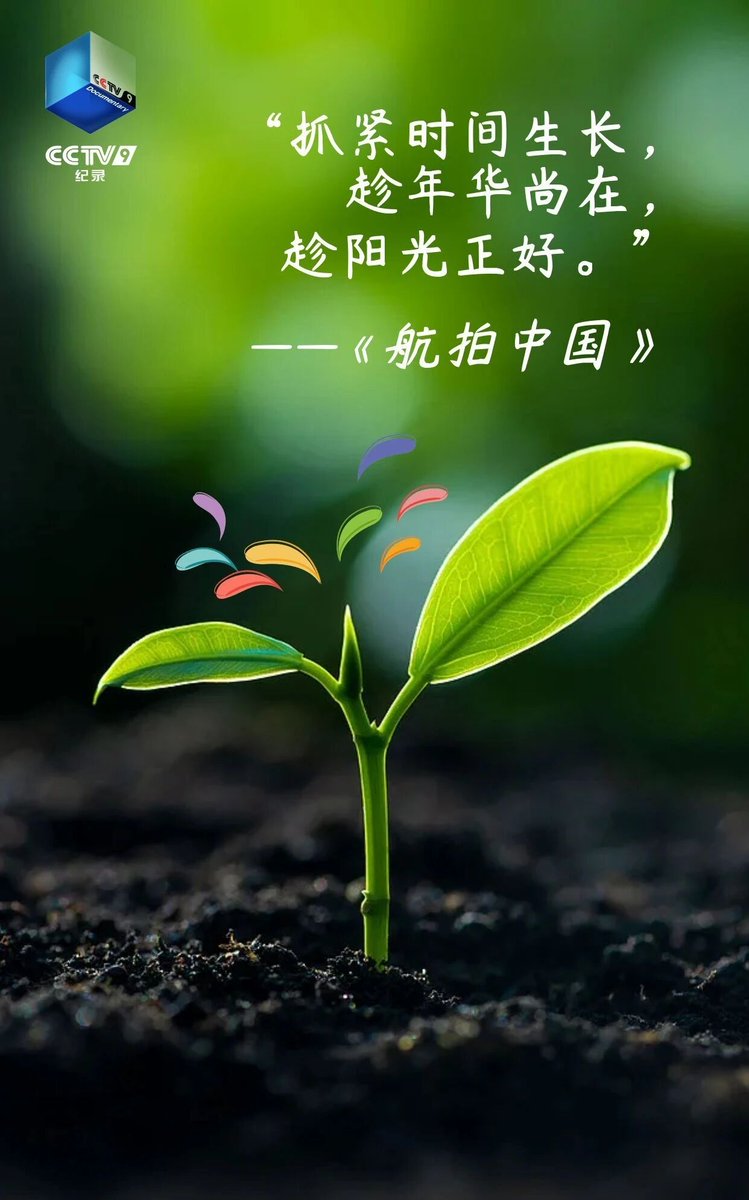 晓而为（互赞互fo100%） tweet media