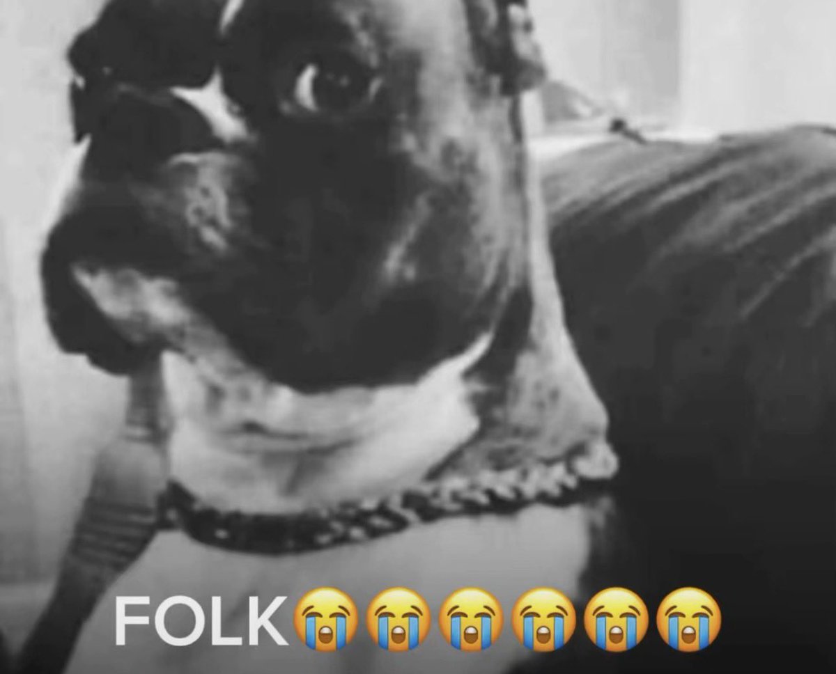 𝗦𝘂𝗽𝗮 ⛧ tweet media