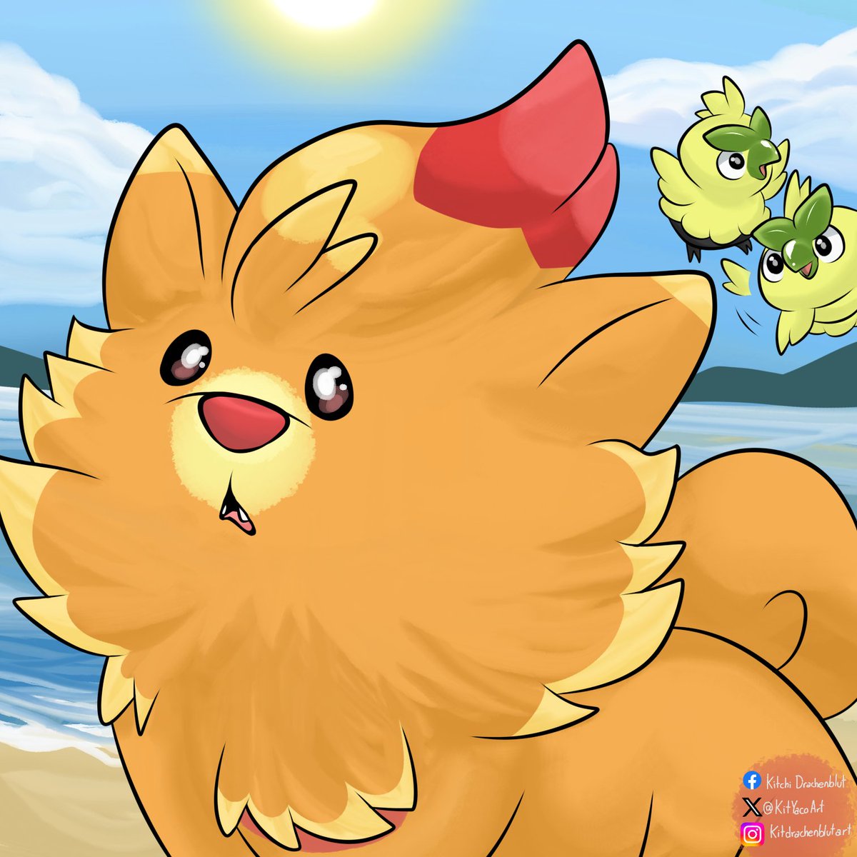 Kit Yaco 🦊 tweet media