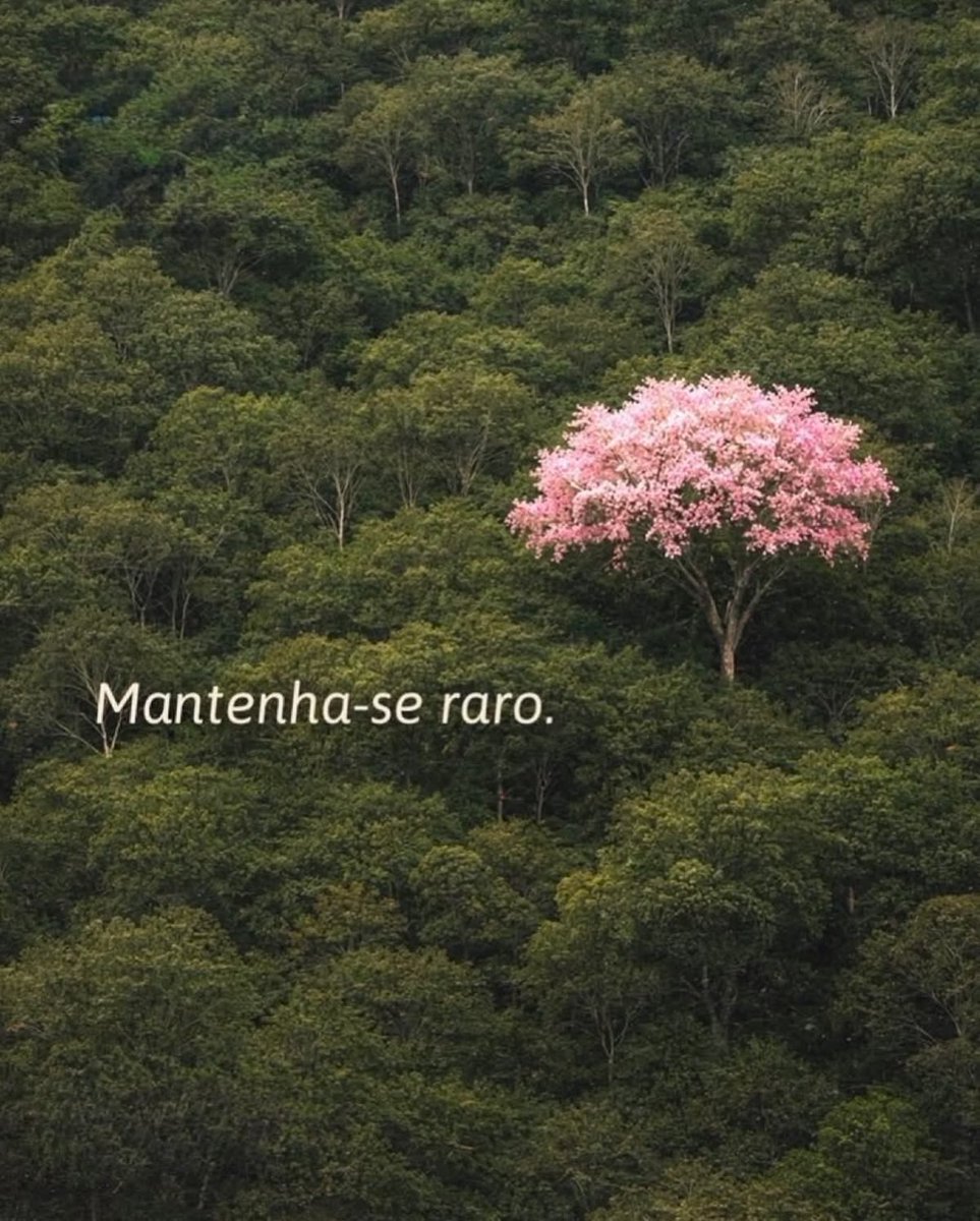 A Profecia! (@livrodaprofecia) on Twitter photo 