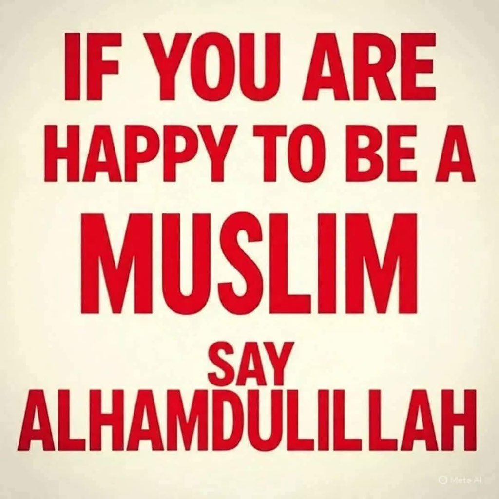 Haleema Abubakar🌹 tweet media