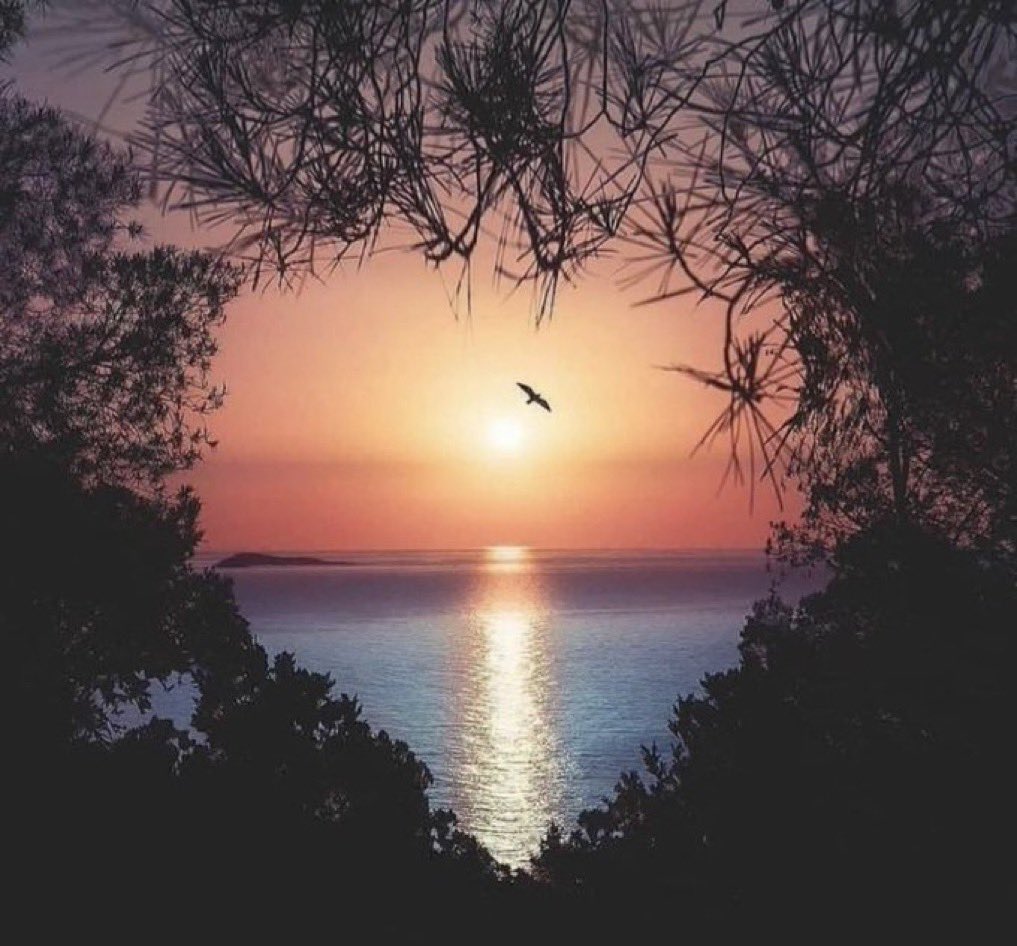 ريما بنت طلال tweet media