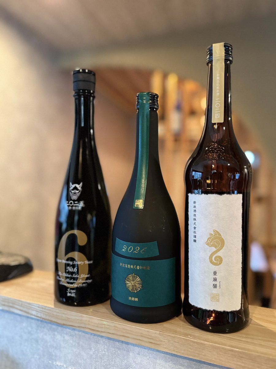 新政 No.6 S-type & 天鵞絨viridian & private Lab亜麻猫(秋田