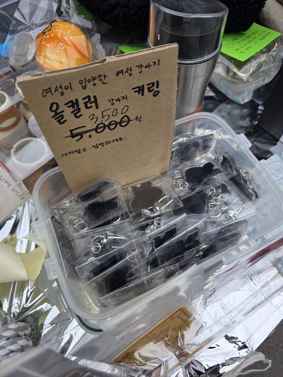 👾 집사쪼 tweet media