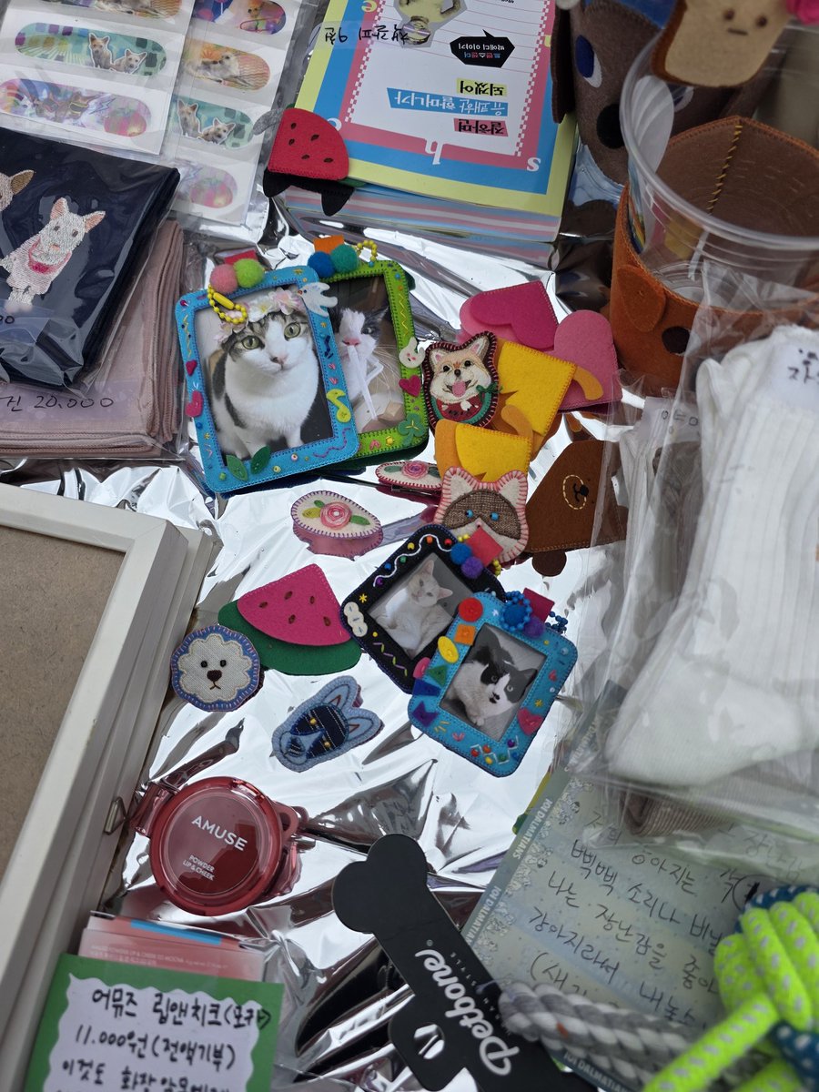 👾 집사쪼 tweet media