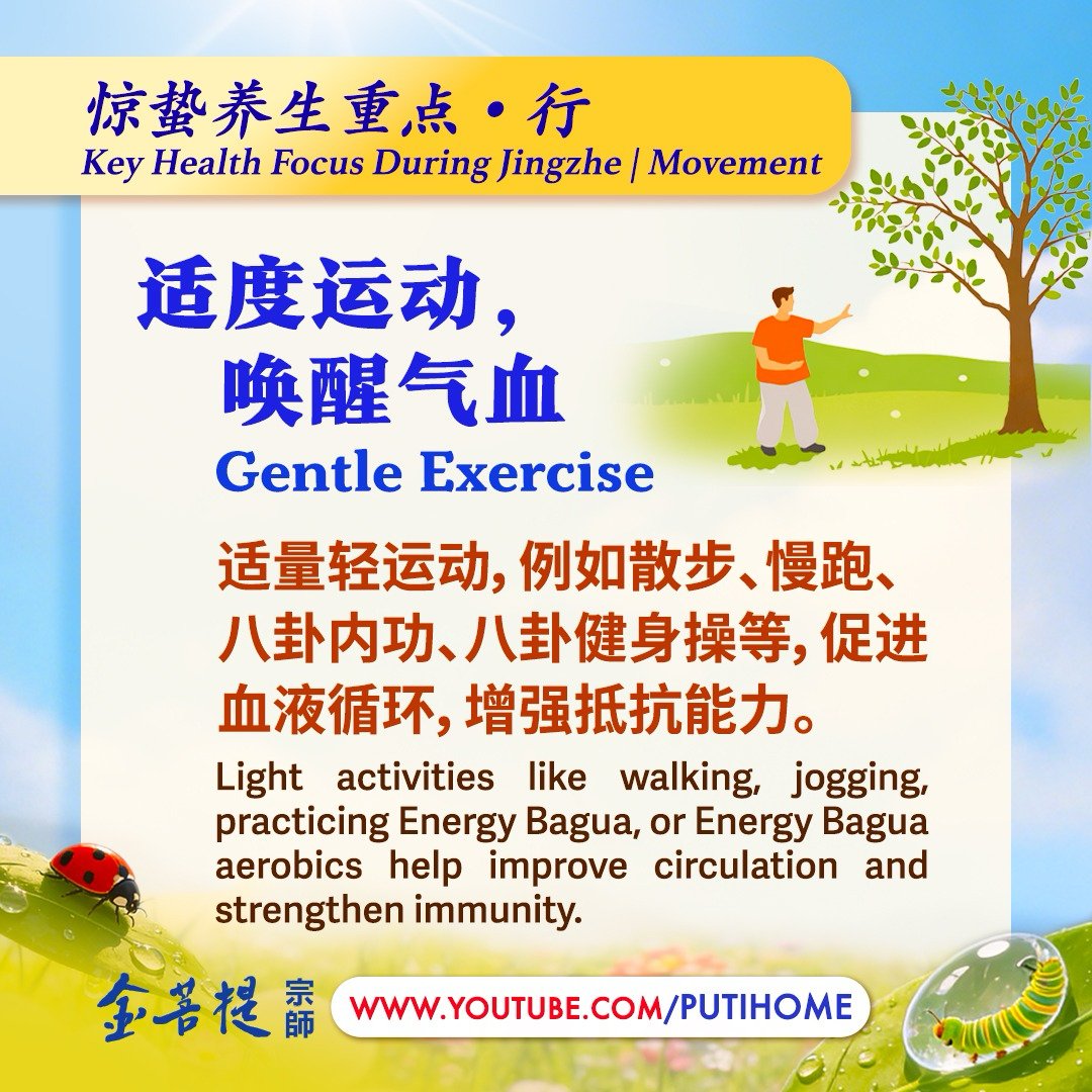 金菩提宗师 Master JinBodhi tweet media