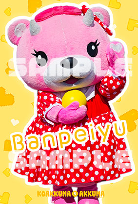 🎀コアックマ tweet media