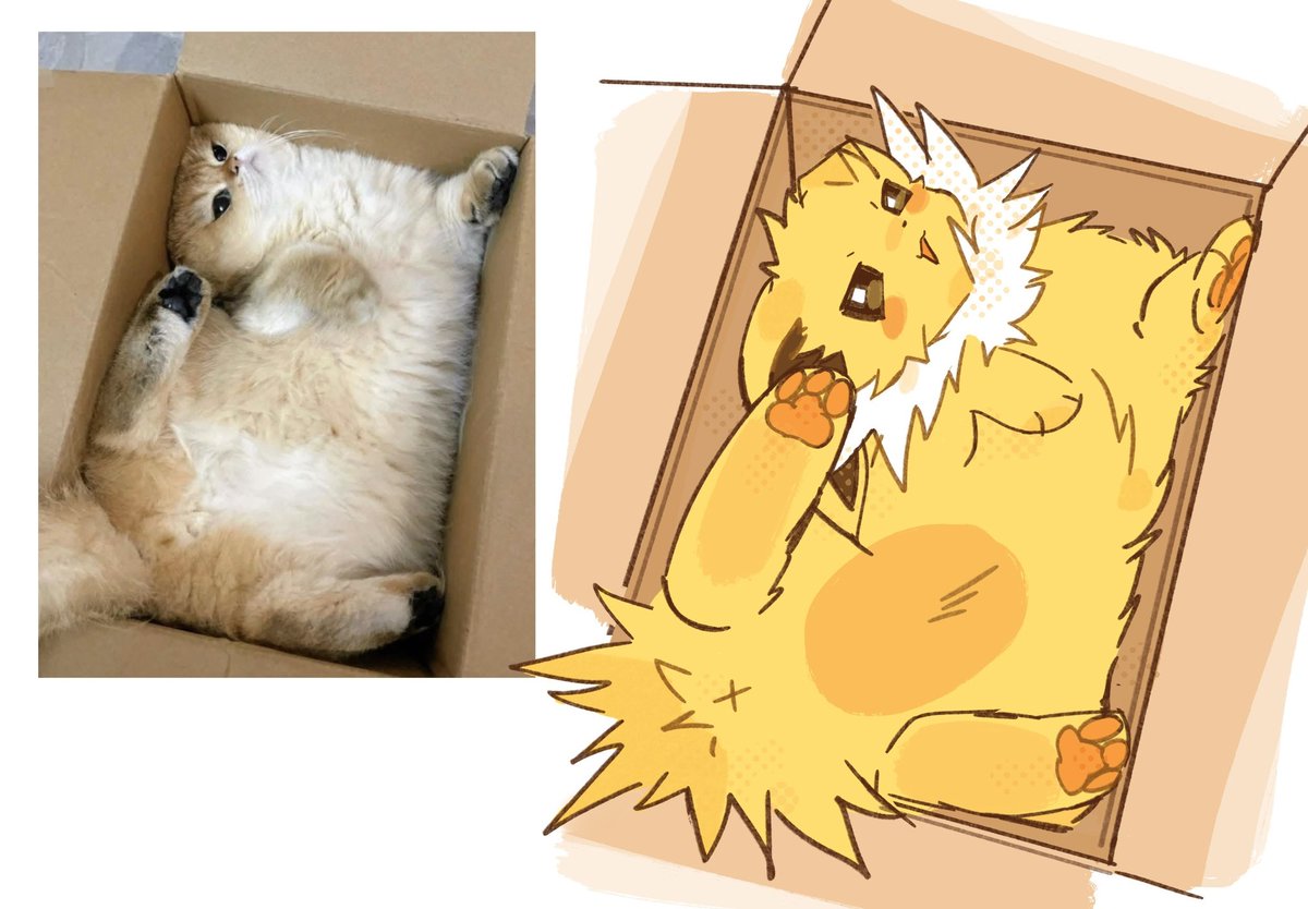 세타 セタ (@seta629211) on Twitter photo 