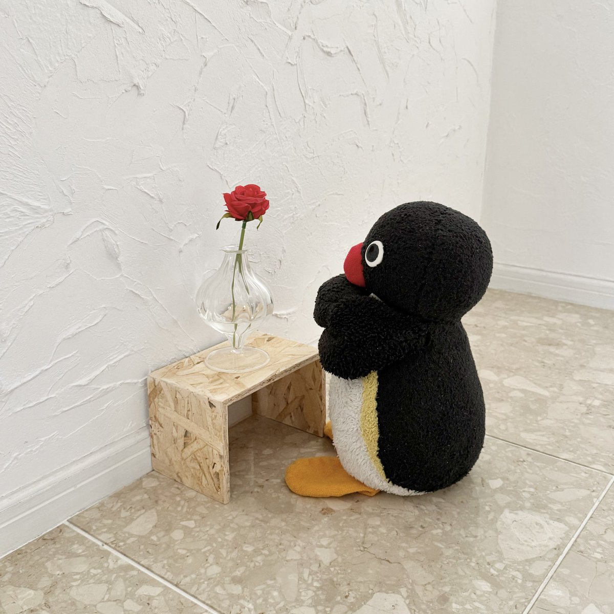 pingmyping tweet media