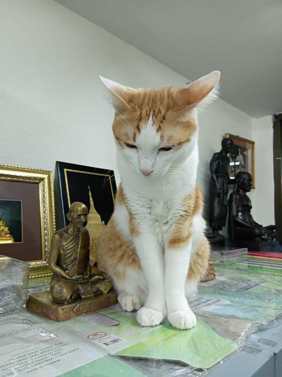 สิ่งศักดิ์สิทธิ์ สิ่งศักดิ์สิทธิ์ !