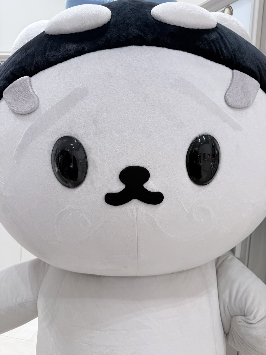 GMMTV polcasan ポルカサンぬいぐるみ2点セット GMMTVのマスコットPolcasan、2歳の誕生日に世界中から祝福の嵐