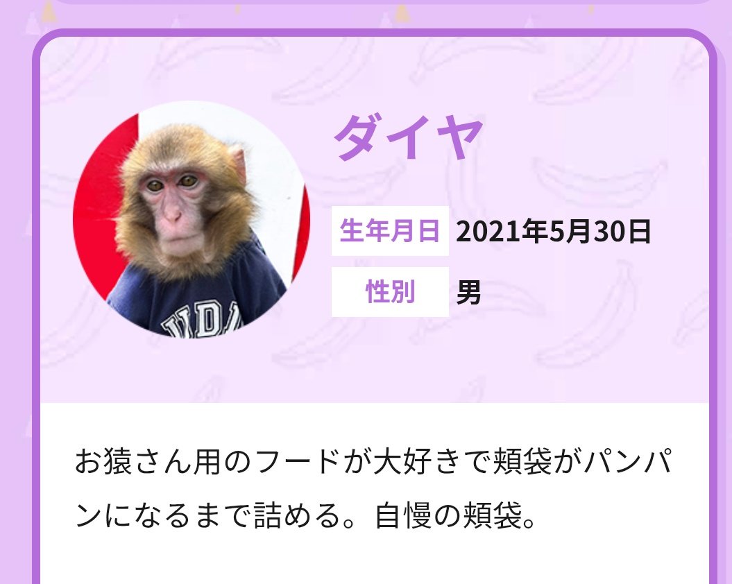 今日は🐒ダイヤくん公猿やっとるみたい😌 日曜日まで行ける方是非