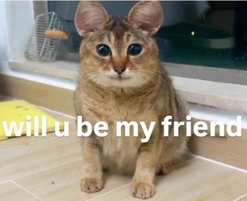 david snailshart tweet media