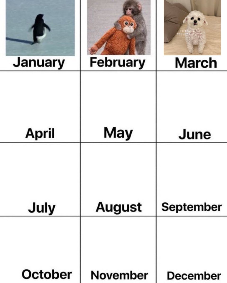 Kepiting Jawa tweet media