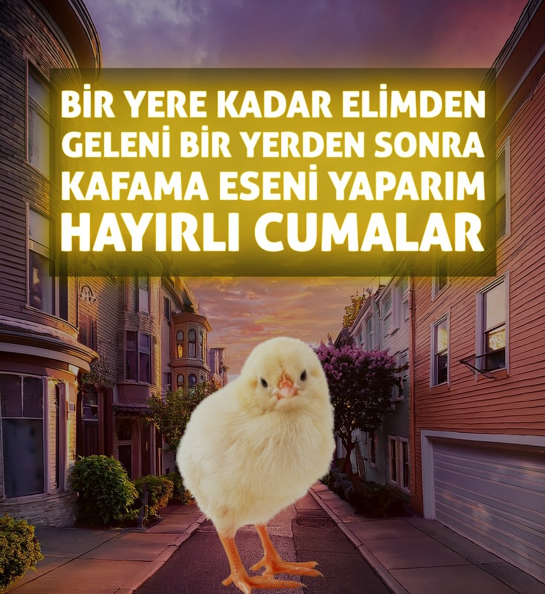 Dünyalı Deli (@dunyalideli) on Twitter photo 