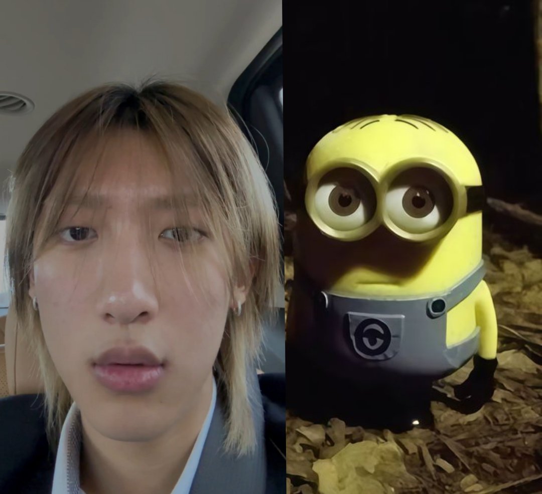 mar 🐚 tweet media