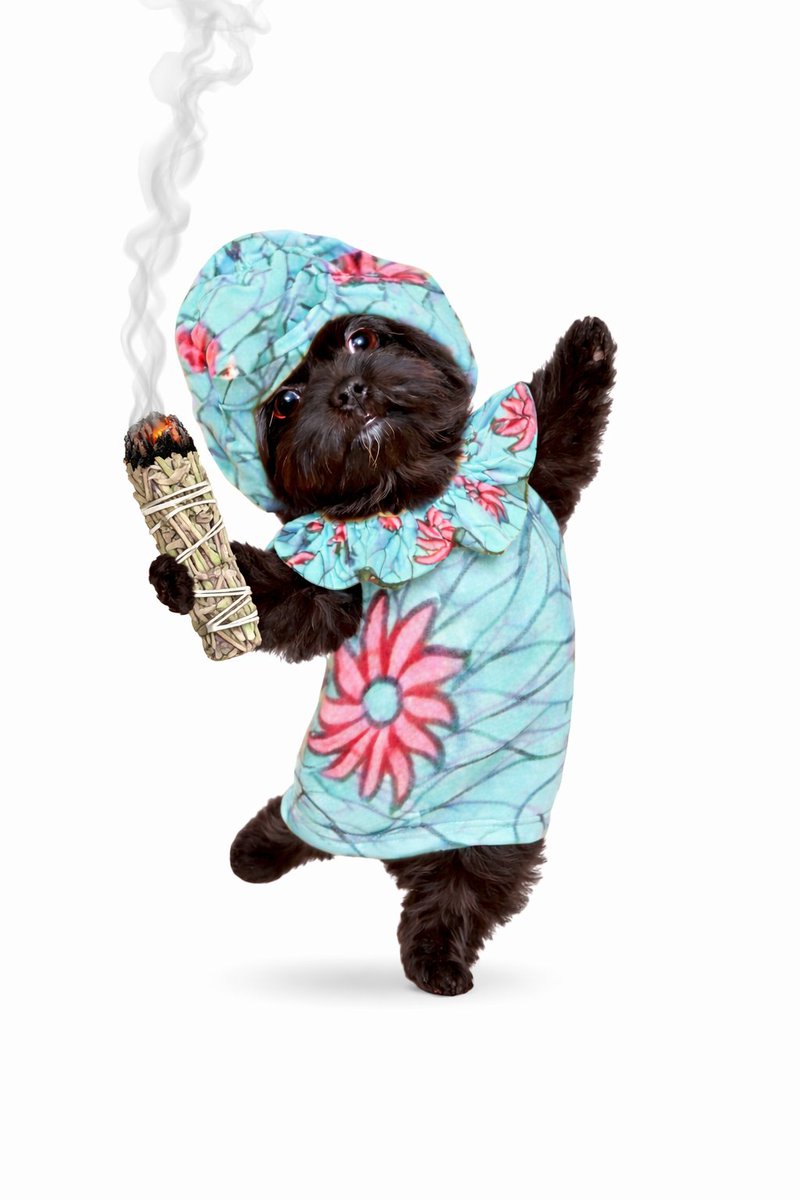 Ted ,Todd N Teala T³ tweet media