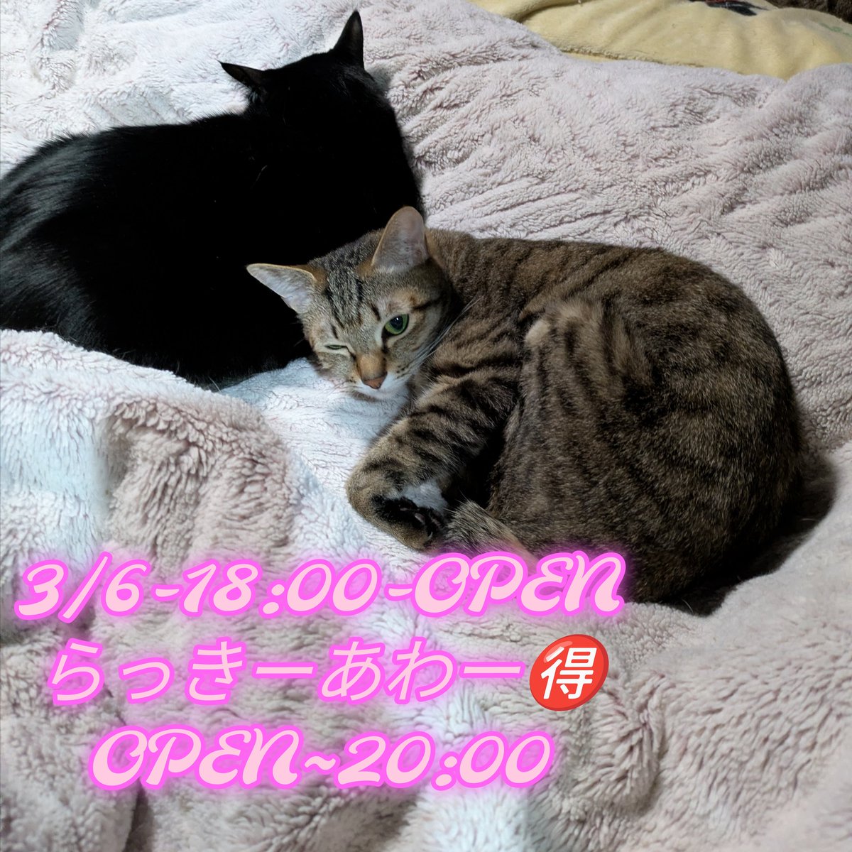 monksbar's tweet photo. 嫌なことはせんでエエ。
#岡山市北区中山下2丁目1-55-3f
#坊主bar
#monk‘s bar
#破天荒坊主
#少人数貸切り可能
#怪談
#怖い話
#カクテル
#仏教カクテル
#カラオケ
#ねこすきさんと繋がりたい
#薩摩好き
#玉置浩二
#サーチライト
#HOUNDDOG
#大友康平
#MISIA
#Uru
#オープンマイク https://t.co/3uhSJpnw3q