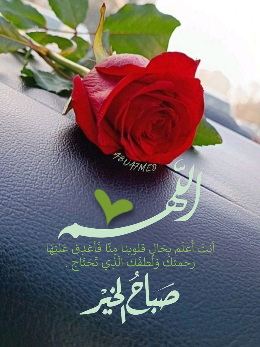 💕آبًوٌمًشُآريَ 💕 tweet media