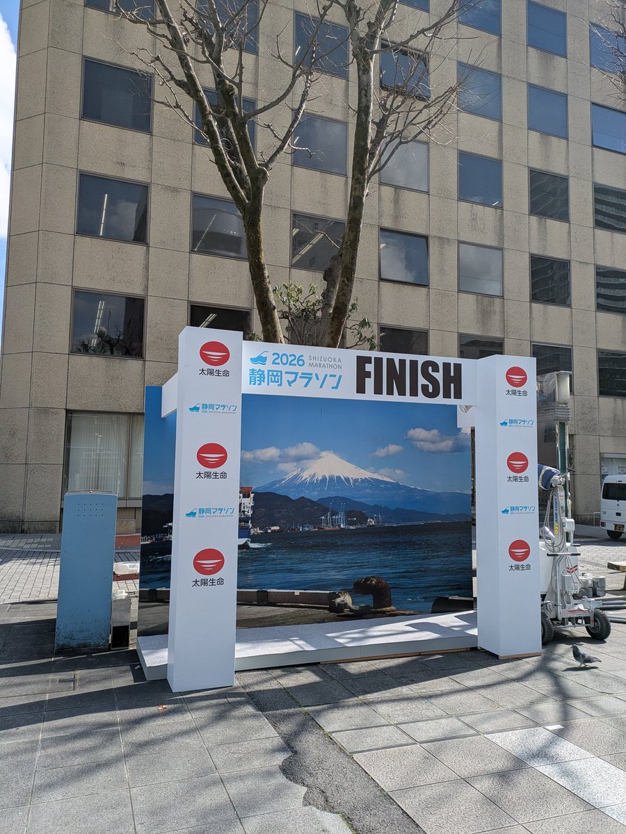 今週末は静岡マラソンですね🏃‍♂️

ランナーさんもツルツルな方が多いですよね✨️
応援しています🦔