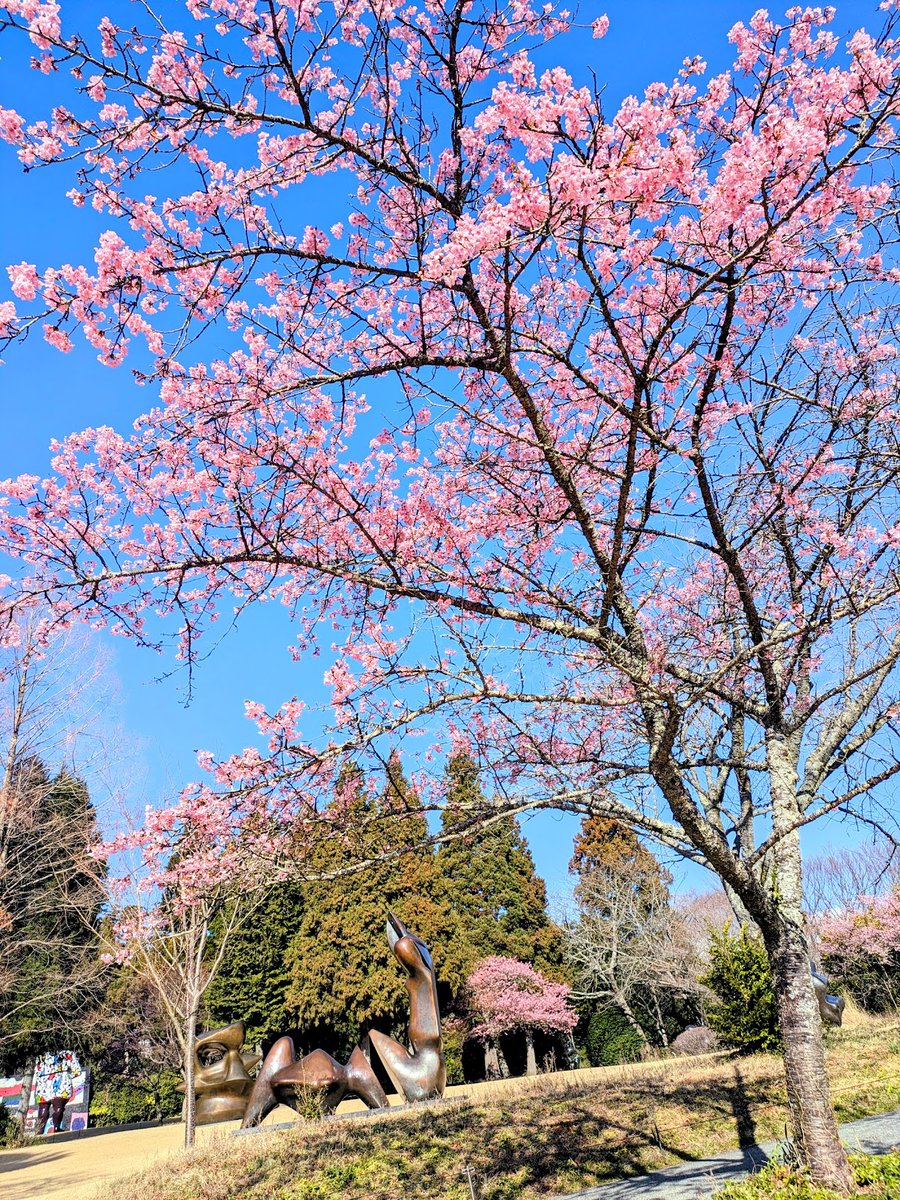 彫刻の森美術館 tweet media