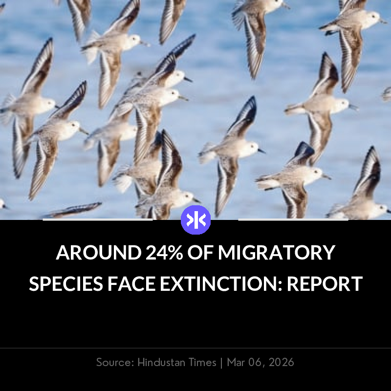 FYNX | Smart Finance News tweet media