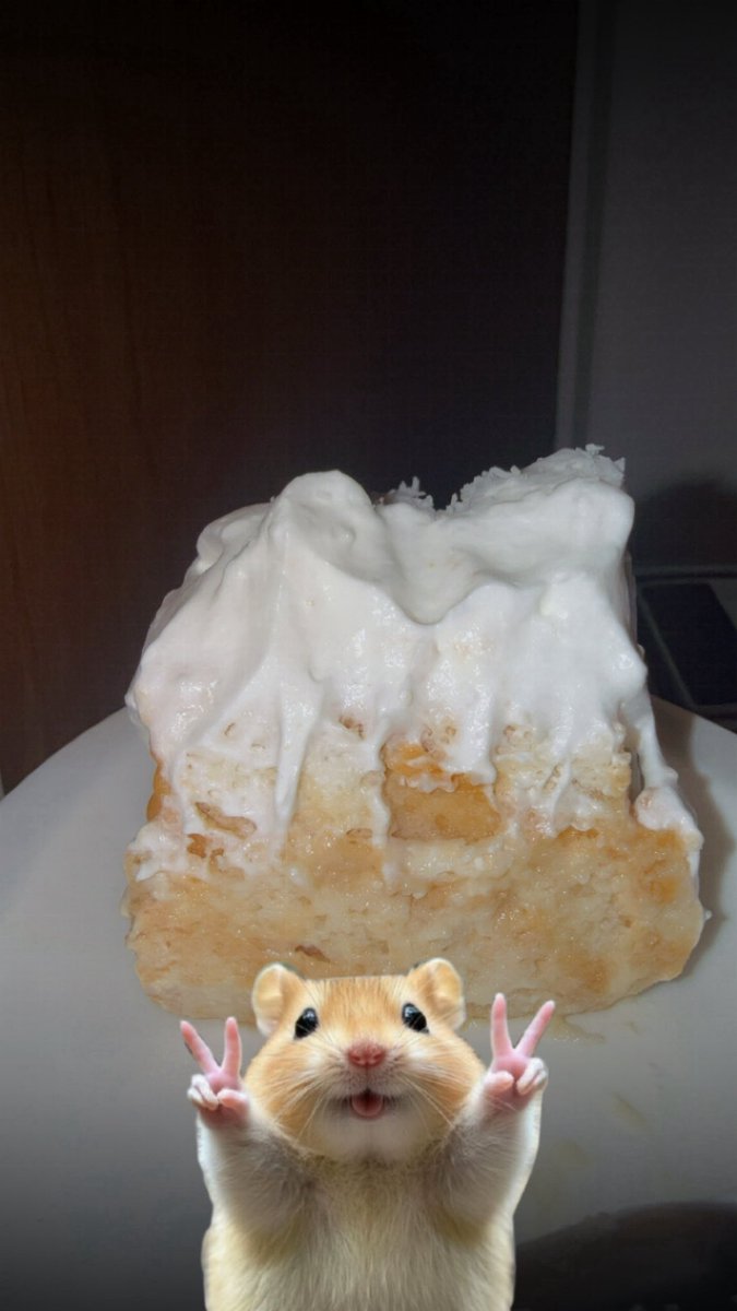 𝓢𝓪𝓵𝓵𝔂 tweet media