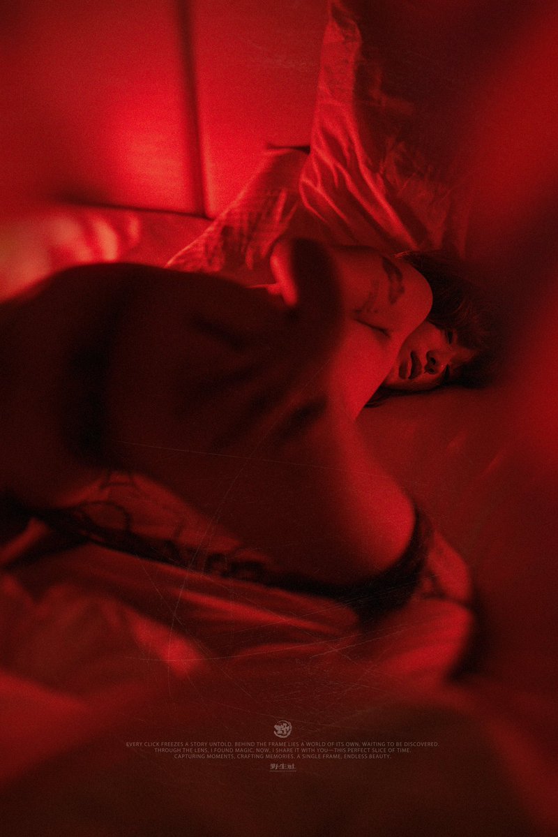 奶油蘑菇兔兔 tweet media