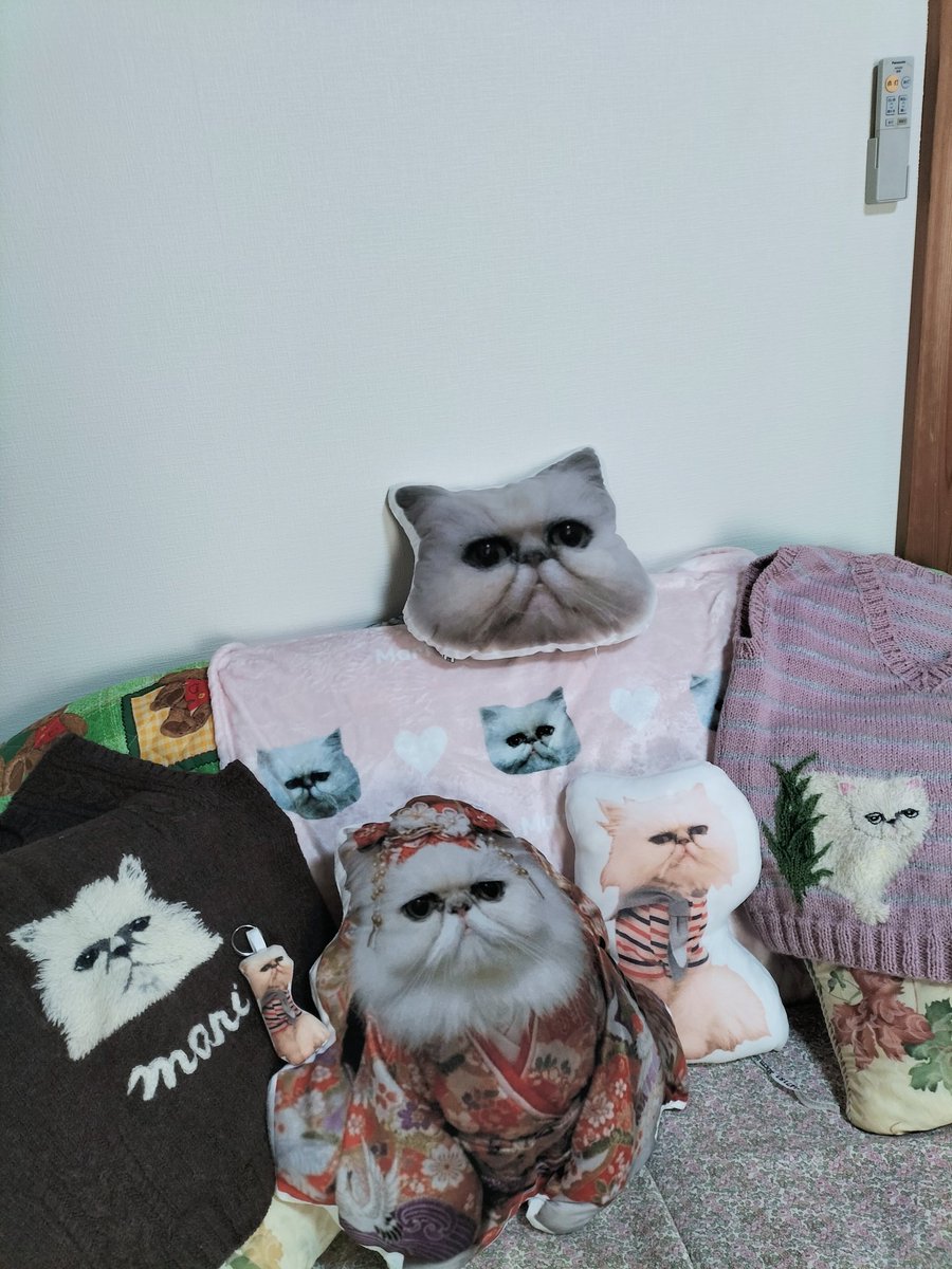 zJon97bsAUClG6F's tweet photo. @kokoronouta_u 兎月さんこんにちは🥰マリグッズCollection😻🤣マリクッション、マリキーホルダー、マリ毛布、マリベスト、マリセーター…🤣兎月さんぜひ遊びに来てね🥰たくさんのマリが待ってるよ https://t.co/NTf4AzgTqq