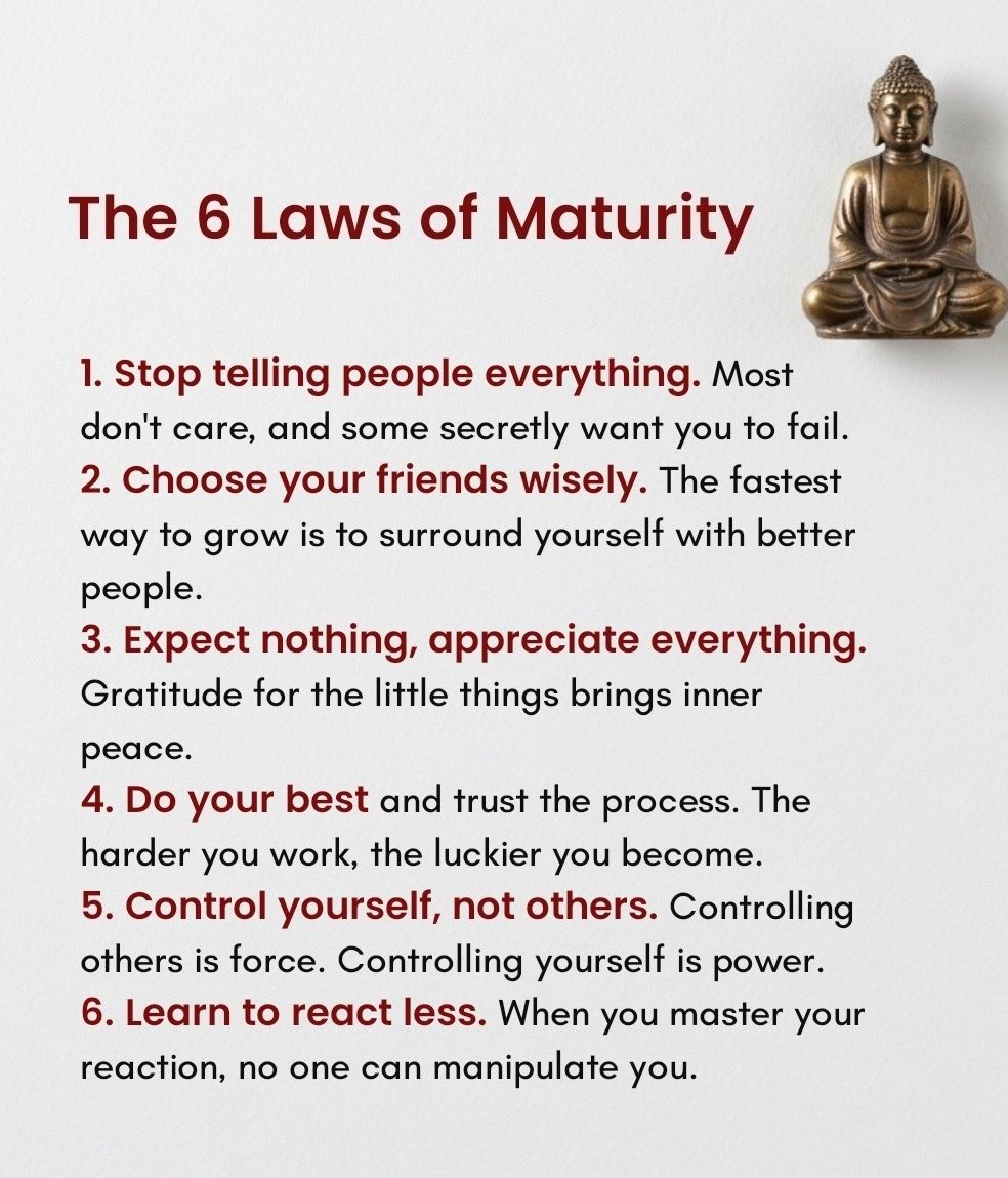 Seek Wiser tweet media