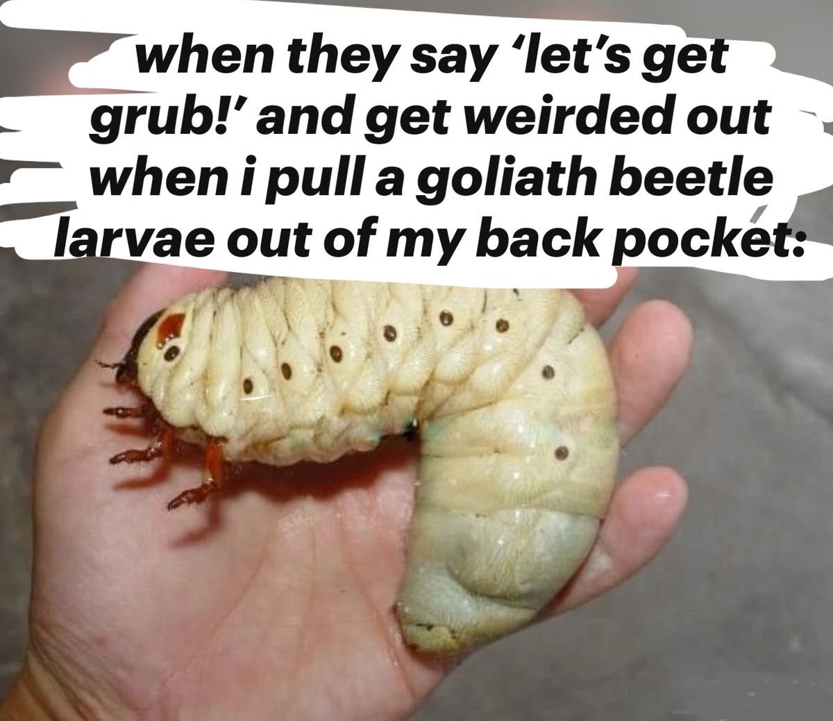 ˗ˏˋ 𓉸ྀི ◟ 𝕮𝑒𝓂𝑒𝓉𝑒𝓇𝓎 𝕲𝒾𝓇𝓁 .ᐟ tweet media