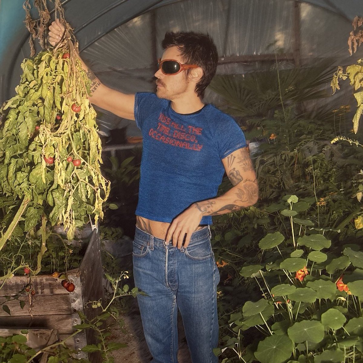 emiirodrigoo's tweet image. mi top de KATTDO (despues de escucharlo por 1era vez) 💋🪩

1. Coming Up Roses
2. Taste Back
3. American Girls