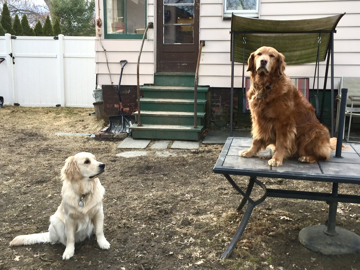 Mike Frezon tweet media