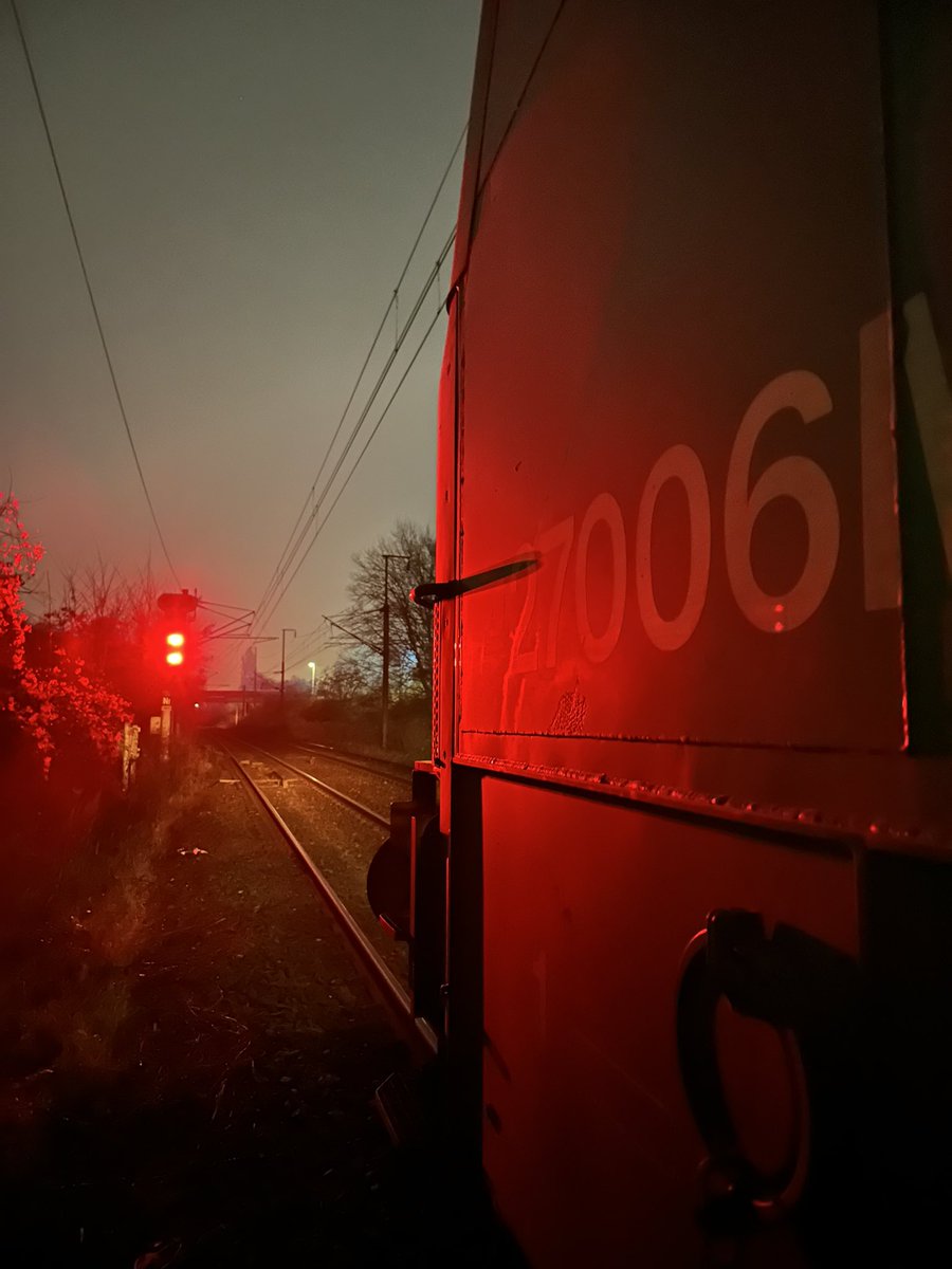 alex’s 🔻🇫🇷 tweet media