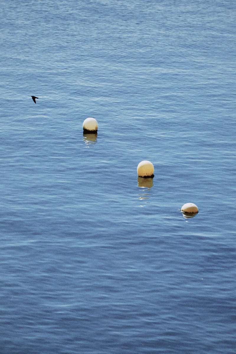 C21_Odyssey's tweet image. Walked into a diving base.
平静海面下的暗流涌动。
#snap #seaside 
-