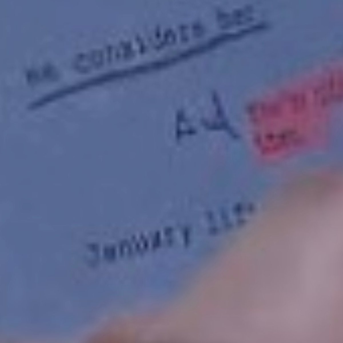 caro ⭐️ tweet media