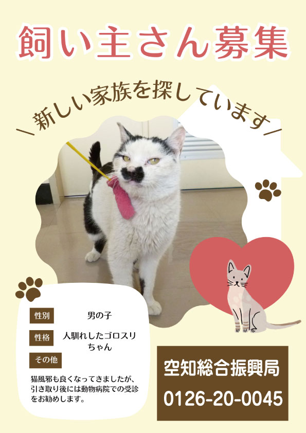 保健所情報 全道172頭/飼主探しノート全道284頭 岩見沢保健所由仁支所